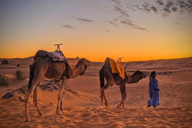 Morocco 3 Day Tour :Group Excursión from Marrakech to Merzouga - Analyzing the Value: Is It Worth the Price?