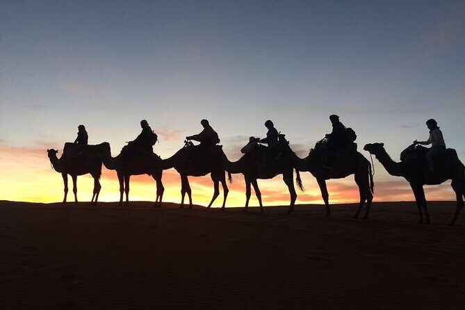 Morocco Camel treks experiences 2 nghits in Erg Chabbi desert - Final Thoughts: Who Is This Tour Perfect For?