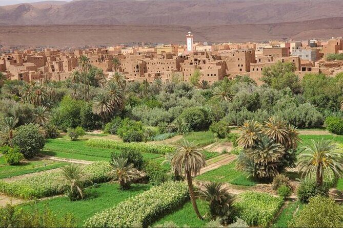 Morocco Day Trip at Sahara Desert - FAQs