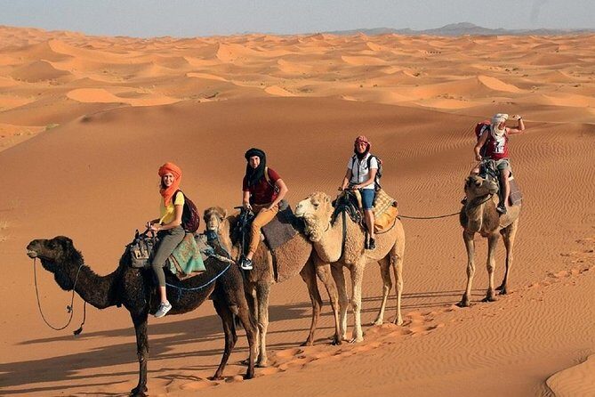 Morocco desert tour 4 days from Marrakech - Transportation & Accommodation Quality