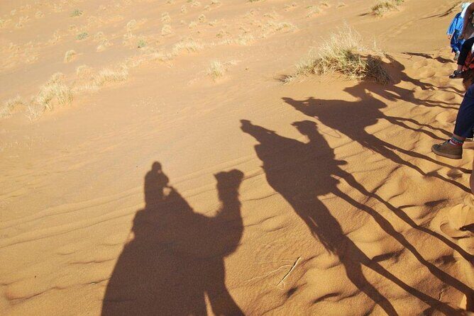Morocco Desert Tour 8 Days Desert tour from Tangier to Marrakech - The Sum Up