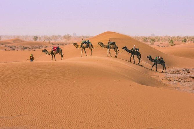Morocco desert tours from Marrakech 3 days - An Authentic 3-Day Moroccan Adventure from Marrakech