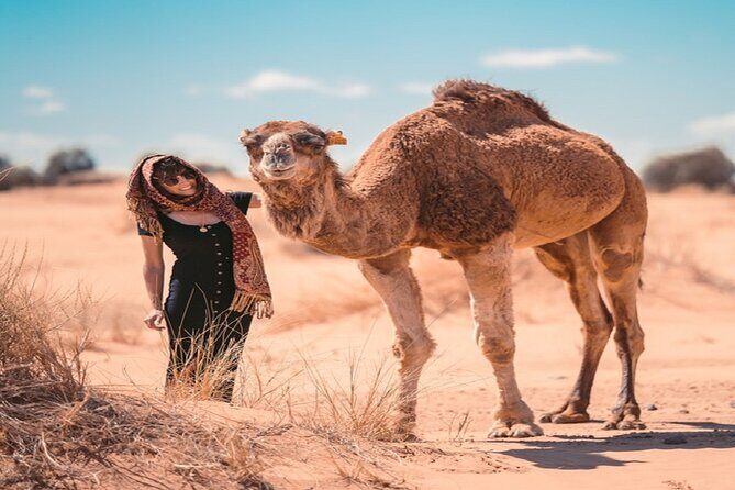 Morocco desert trek dromedary Mhamid dunes - FAQ
