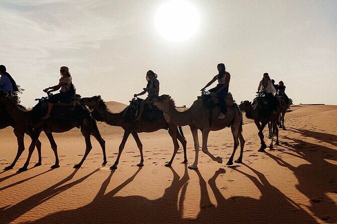 Morocco tour start from Casablanca 8 days - Final Thoughts: Who Will Enjoy This Tour?