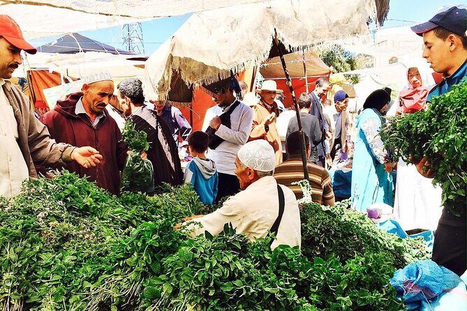 Morocco's Top Cooking Classes For Authentic berber Cuisine in the Atlas Mountain - Key Points