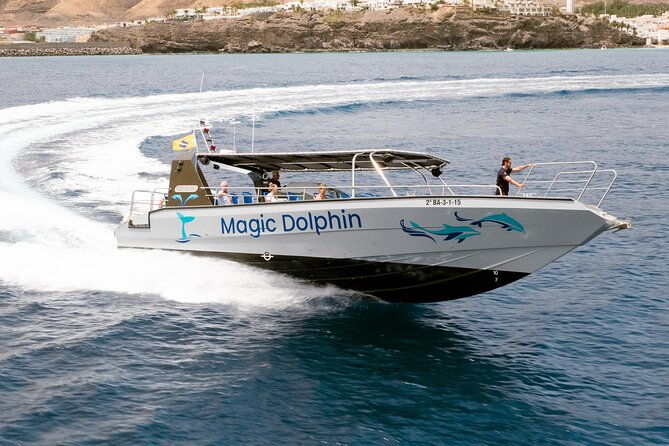 morro-jable-2-hours-magic-dolphin-whale-watching-with-drinks-swim-stop
