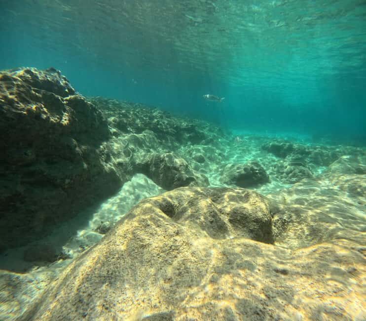 Morro Jable: Try Out Diving, No Prior Experience Needed! - The Practical Details and Logistics