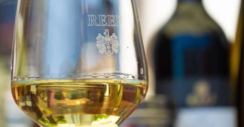mosel-accompanied-wine-tasting-directly-at-the-winery