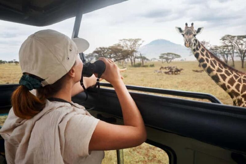 Moshi: 4-Day Ndutu Migration Safari and Ngorongoro Crater - FAQ