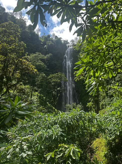 Moshi: A Day Tour To Materuni Waterfall - Who Is This Tour Best For?