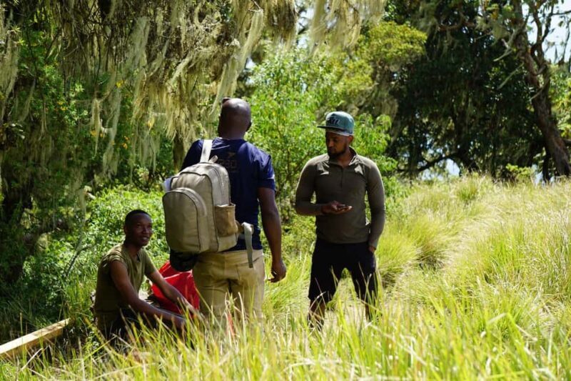 Moshi: *All-inclusive* Kilimanjaro Day Hike (Marangu Route) - What You Can Expect from the Kilimanjaro Day Hike