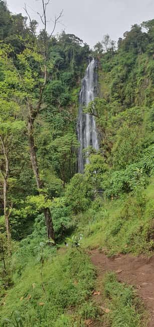 Moshi: Bike Tour to Materuni Waterfalls & Coffee Tour - Key Points