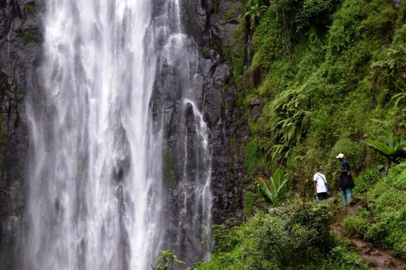 Moshi: Bike Tour to Materuni Waterfalls & Coffee Tour - Authentic Experiences and Expert Insights