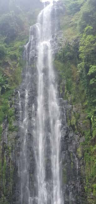 Moshi: Bike Tour to Materuni Waterfalls & Coffee Tour - Final Thoughts: Who Will Love This Tour?