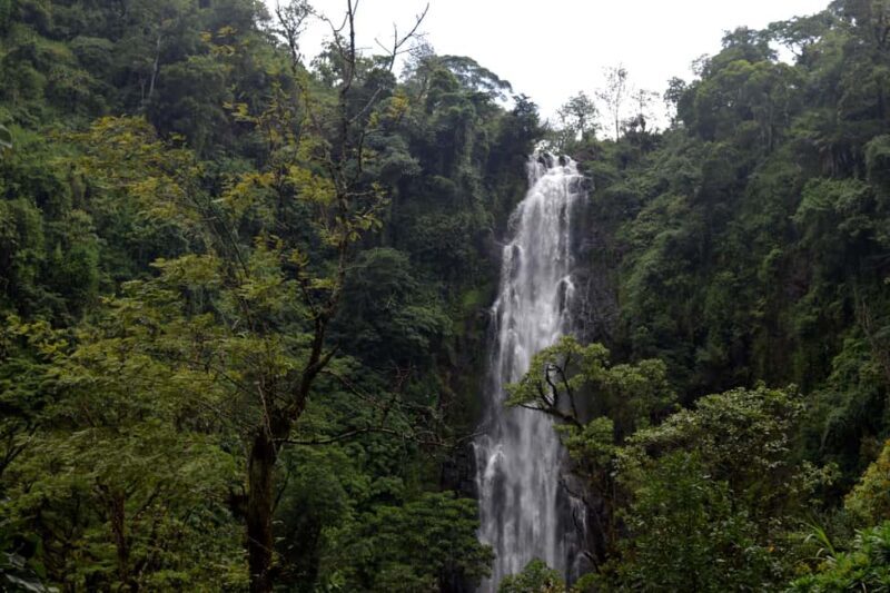 Moshi: Bike Tour to Materuni Waterfalls & Coffee Tour - FAQ