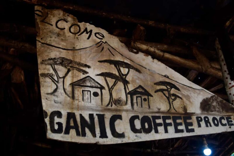 Moshi: Chagga Village Tour - Practical Details & Value