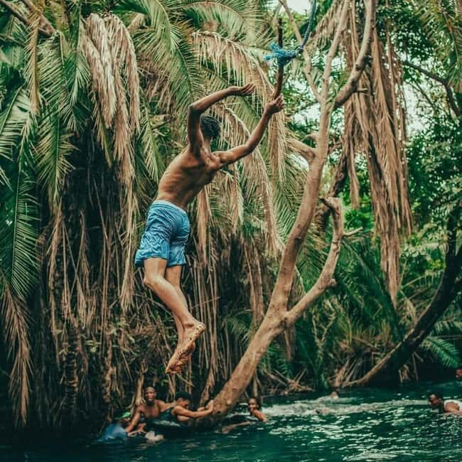 Moshi: Chemka Hot Springs and Forest Day Trip with Guide - Key Points