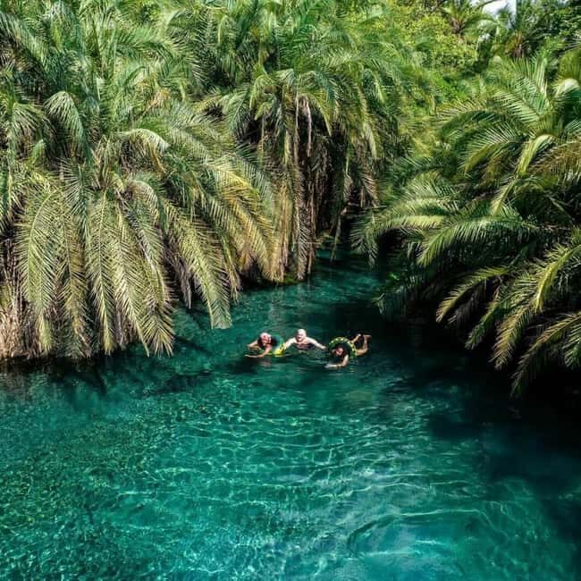 Moshi: Chemka Hot Springs and Forest Day Trip with Guide - Final Thoughts