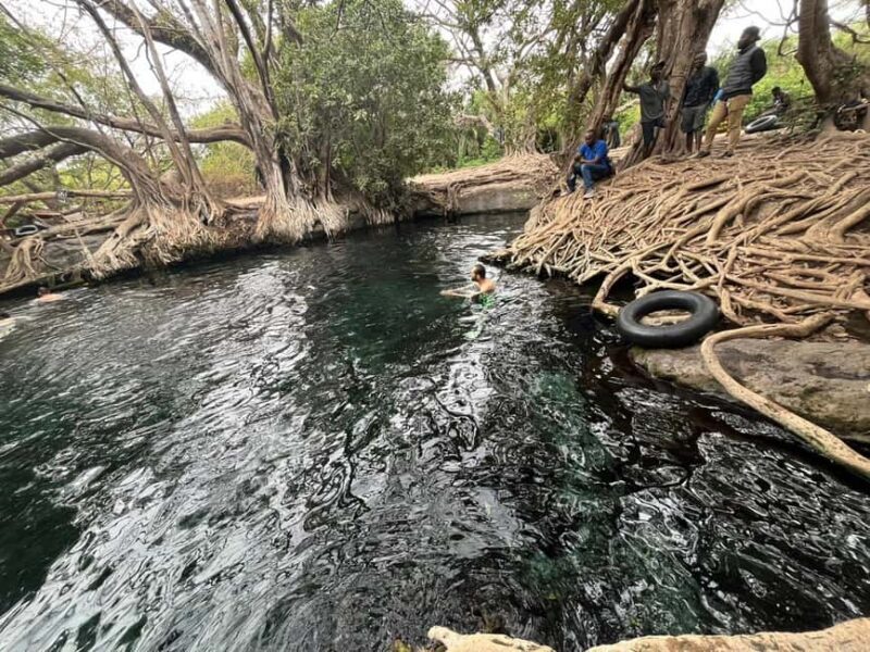 Moshi: Chemka Hot Springs Day Trip with Lunch - Moshi: Chemka Hot Springs Day Trip with Lunch - An Authentic Tanzanian Escape
