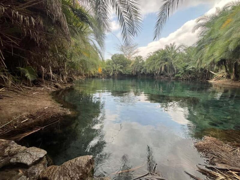 Moshi: Chemka Hot Springs Day Trip with Lunch - Key Points