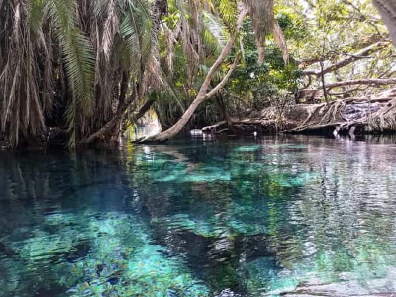 Moshi-Chemka Hot Springs tour with food and drinks - Practical Tips for Making the Most of Your Trip