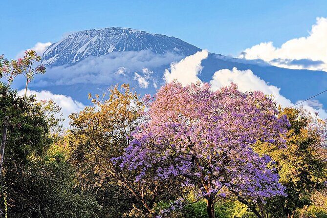 Moshi City Tour: Explore the Foothill of Kilimanjaro on Foot - Moshi City Tour: Explore the Foothill of Kilimanjaro on Foot