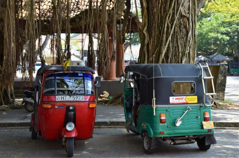 Moshi: Half-Day Town Tour with Lunch - Key Points  