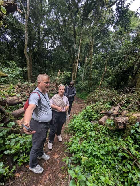 Moshi: Kilimanjaro Climb Marangu Route Guided Tour - Authentic Experiences and Customer Insights