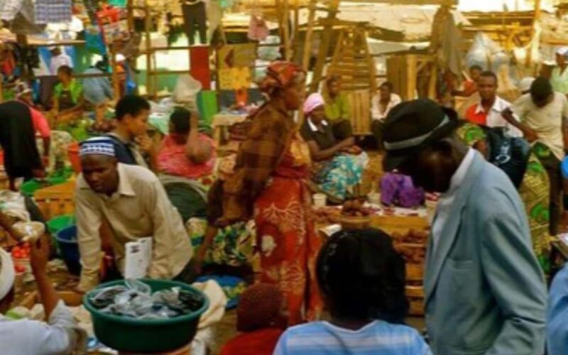 Moshi, Kilimanjaro: Local Market Shopping Experience - An Authentic Dive Into Moshi’s Market Scene