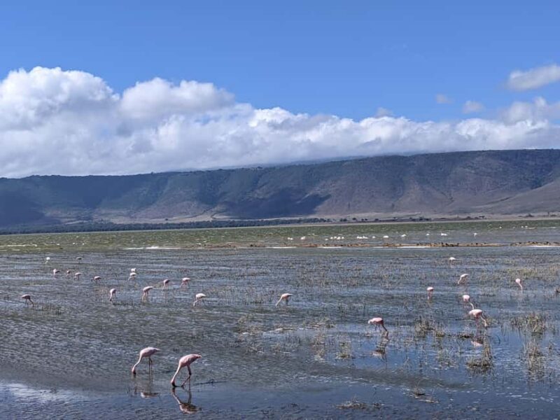 Moshi: Lake Chala Day Trip with Guided Hike and Lunch - Practical Details & Tips