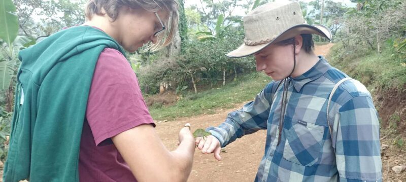 Moshi: Materuni Village and Waterfalls Day Trip with Lunch - The Lunch Experience: Satisfying and Authentic  