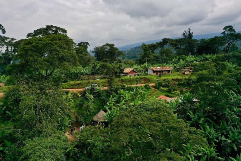Moshi: Materuni Waterfall and Coffee Tour with Lunch - Key Points