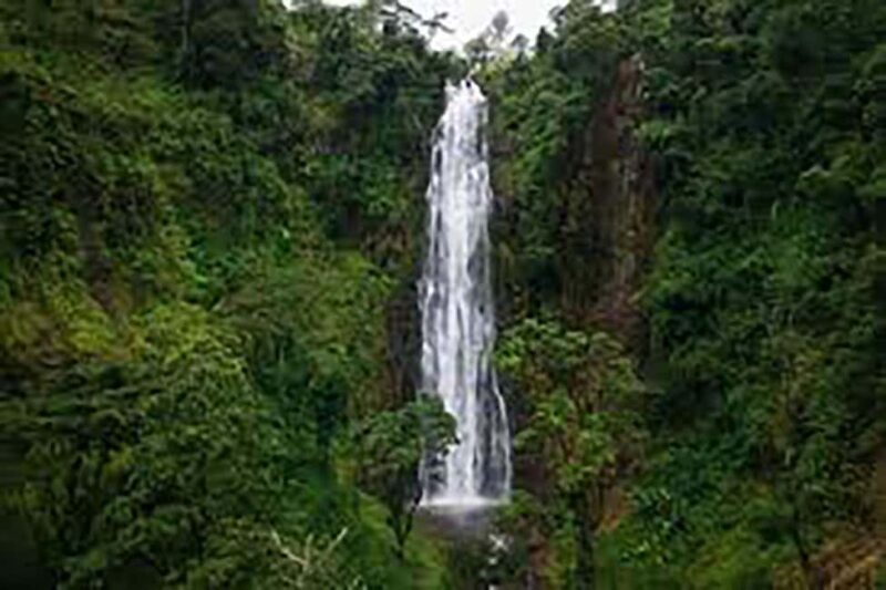 Moshi: Materuni Waterfall and Coffee Tour with Lunch - Exploring the Experience: A Full Breakdown