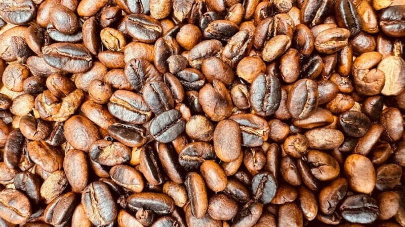 Moshi: Materuni Waterfall and Coffee Tour with Lunch - Who Will Love This Tour?