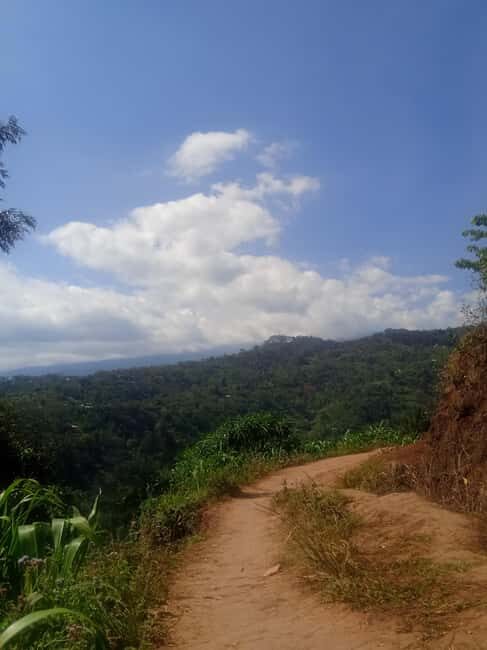 Moshi: Materuni Waterfall and Kikuletwa Hot Springs Day - Key Points