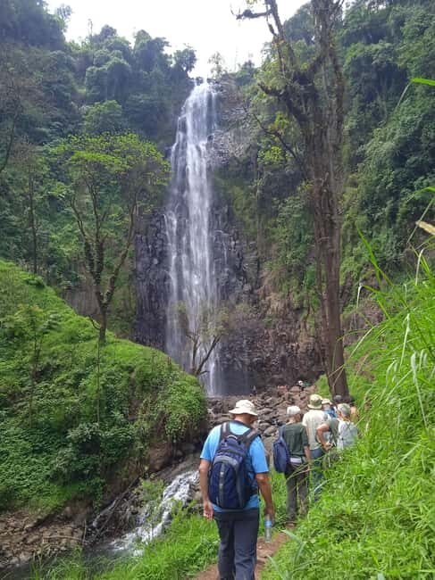Moshi: Materuni Waterfall and Kikuletwa Hot Springs Day - Who Will Love This Tour?