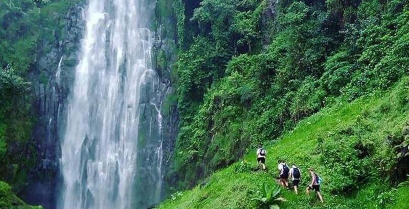 Moshi: Materuni Waterfalls and Coffee Tour with Lunch - An Overview of the Experience