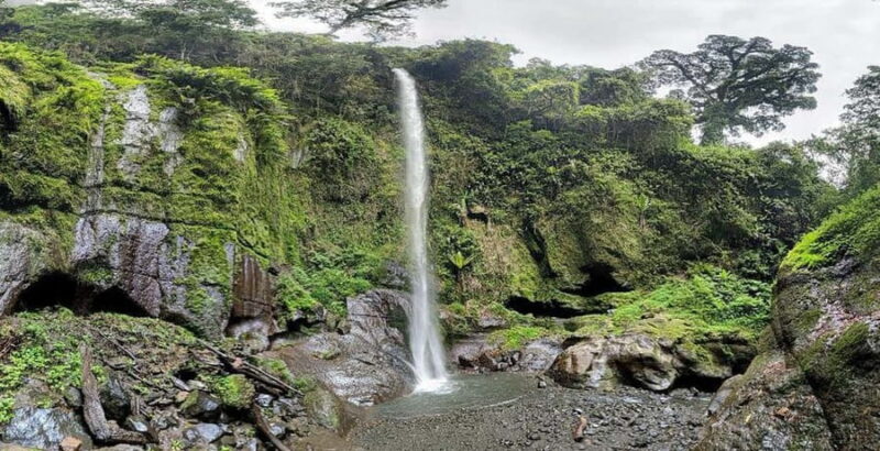 Moshi: Materuni Waterfalls and Coffee Tour with Lunch - Authentic and Personal Insights from Reviews