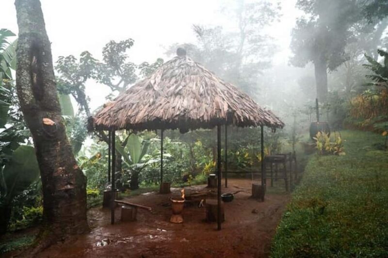 Moshi: Materuni Waterfalls, Coffee, and Hotsprings tour - The Sum Up