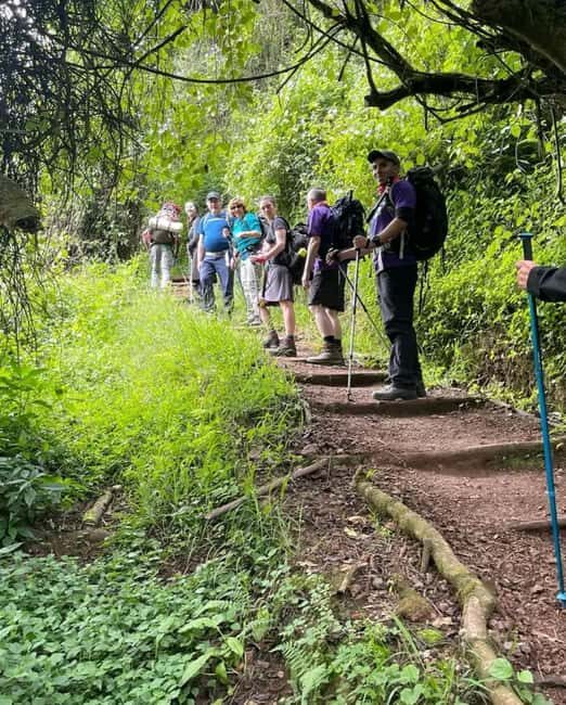 Moshi: Mount Kilimanjaro Day Trip with Maundi Crater Hike - Key Points  