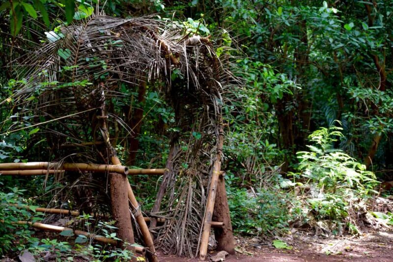 Moshi: Rau Forest (Hiking or Bike Tour) - FAQ