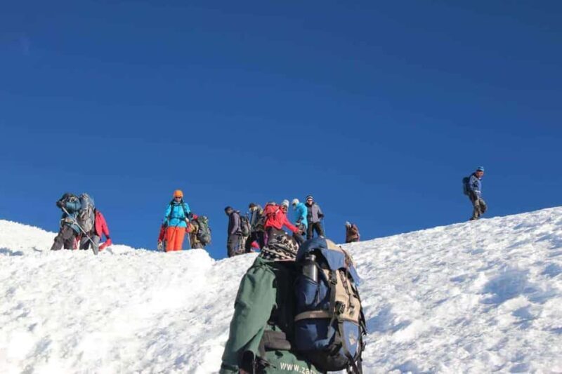 Moshi: Shira Plateau Day Trip with Hike and Scenic Drive - What We Like About This Experience