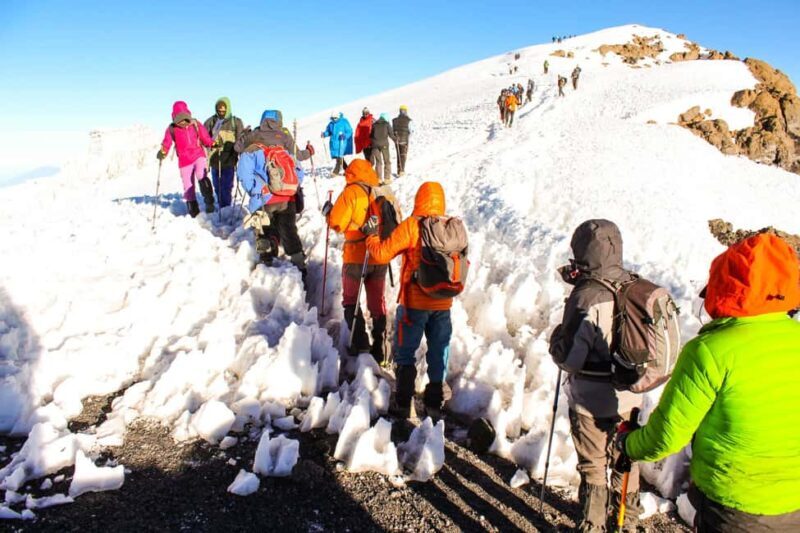 Moshi: Shira Plateau Day Trip with Hike and Scenic Drive - What’s Included and Not