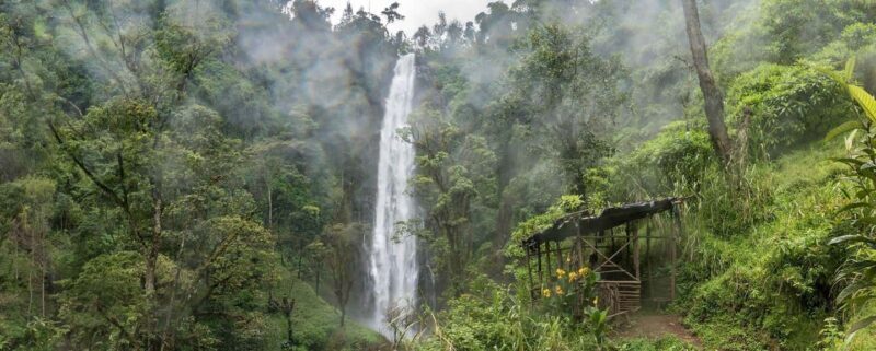 Moshi:Chemka Hot Springs, Materuni Waterfalls & Coffee Tour - Key Points