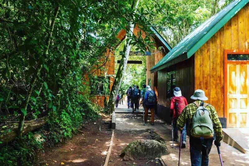 Moshi:Mount Kilimanjaro Day Hike with Mandara Hut Trek - Key Points