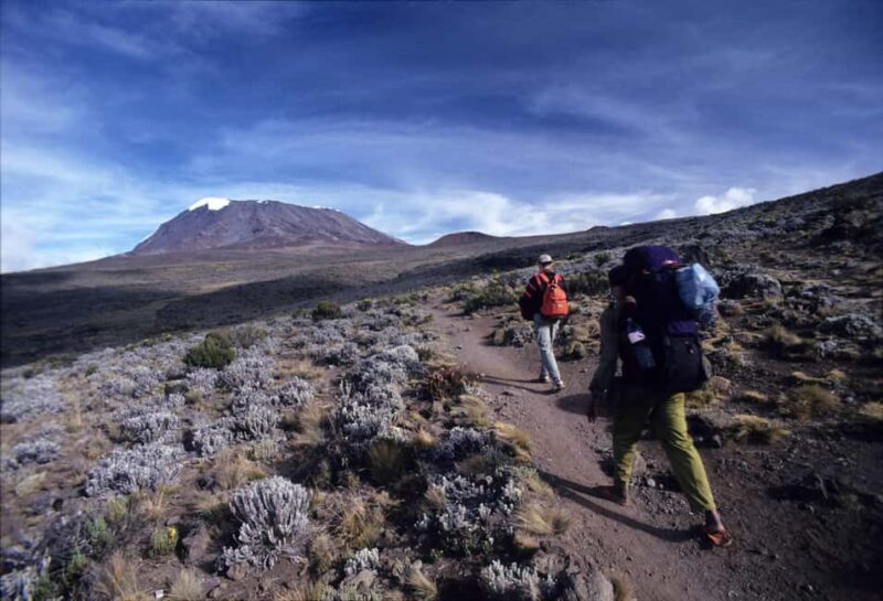 Moshi:Mount Kilimanjaro Day Hike with Mandara Hut Trek - The Itinerary and Its Value