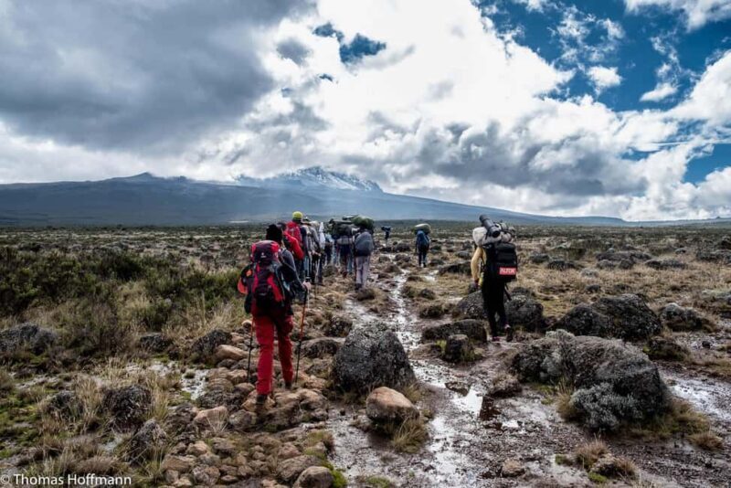 Moshi:Mount Kilimanjaro Day Hike with Mandara Hut Trek - The Descent and Return