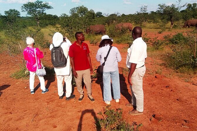 Mosi-oa-Tunya National Park Rhino Walk - Mosi-oa-Tunya National Park Rhino Walk Review