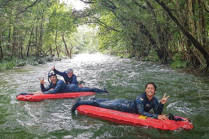Mossman Gorge Adventure Day - Exploring Mossman Gorge: Walks and Interpretive Learning