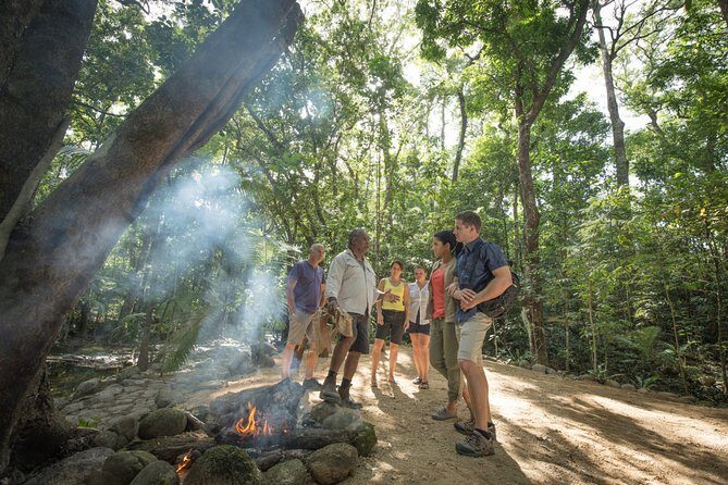 Mossman Gorge Adventure Day - The Daintree Rainforest Walk: Nature at a Gentle Pace